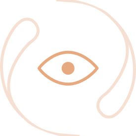 Vision Vision